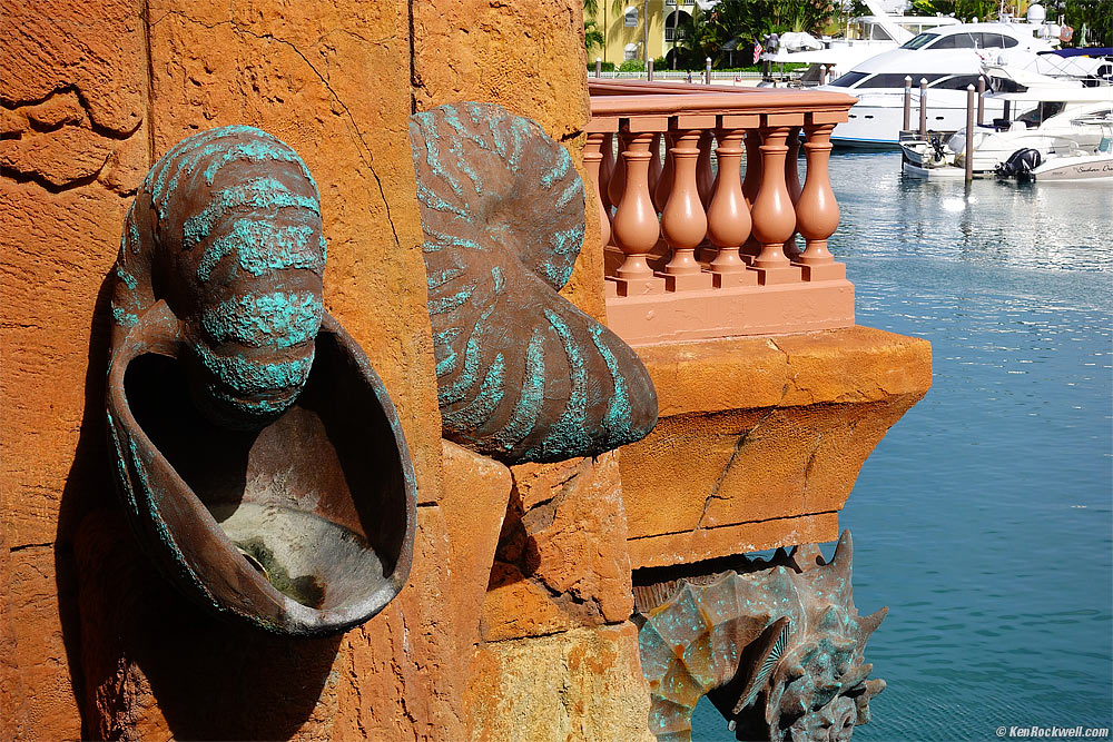 Huge Shells, Atlantis, Bahamas