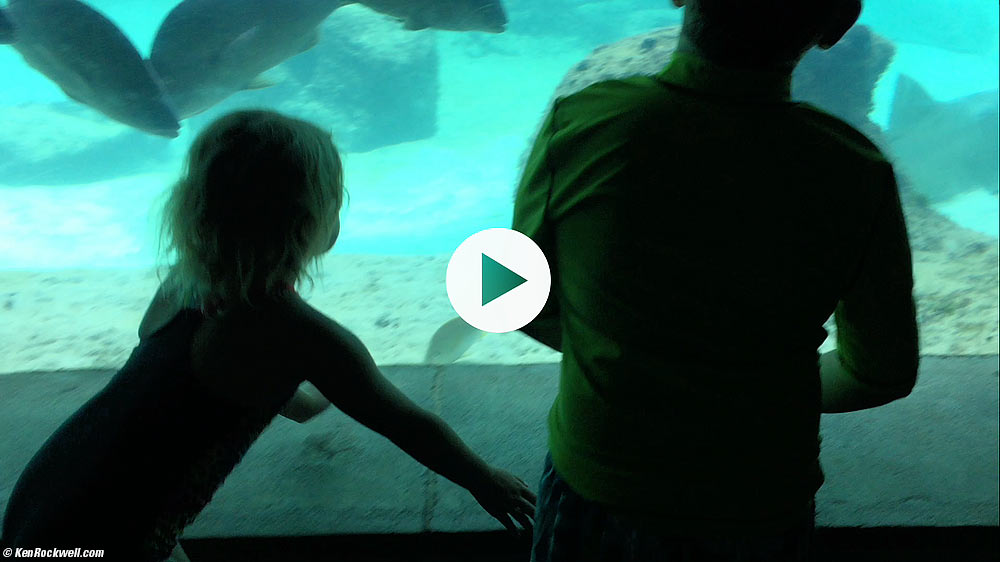 Ryan and Katie watching the fish