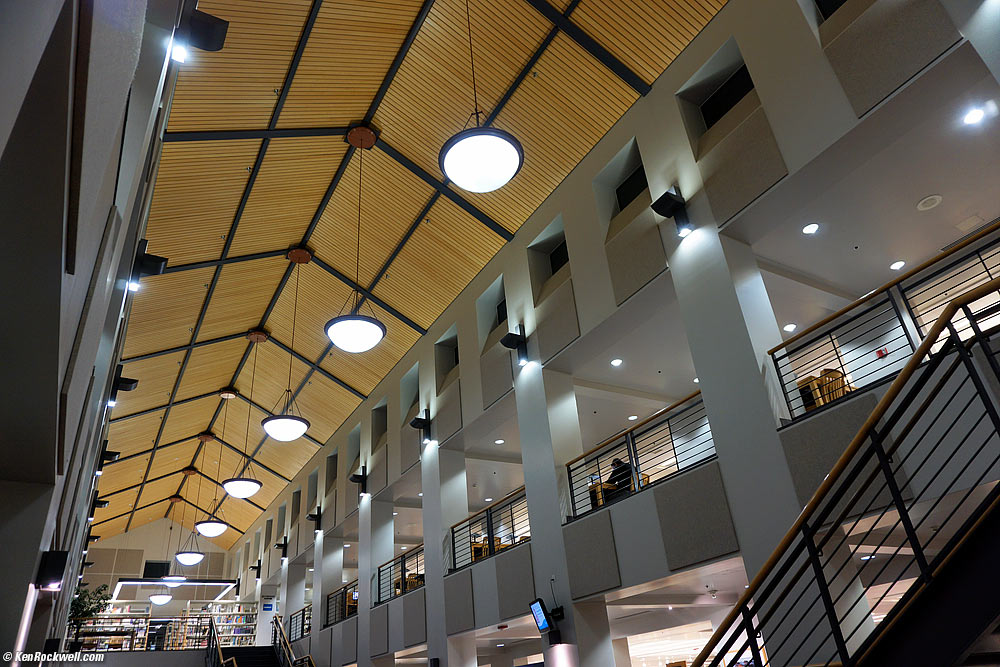 inside the Carlsbad Dove Library