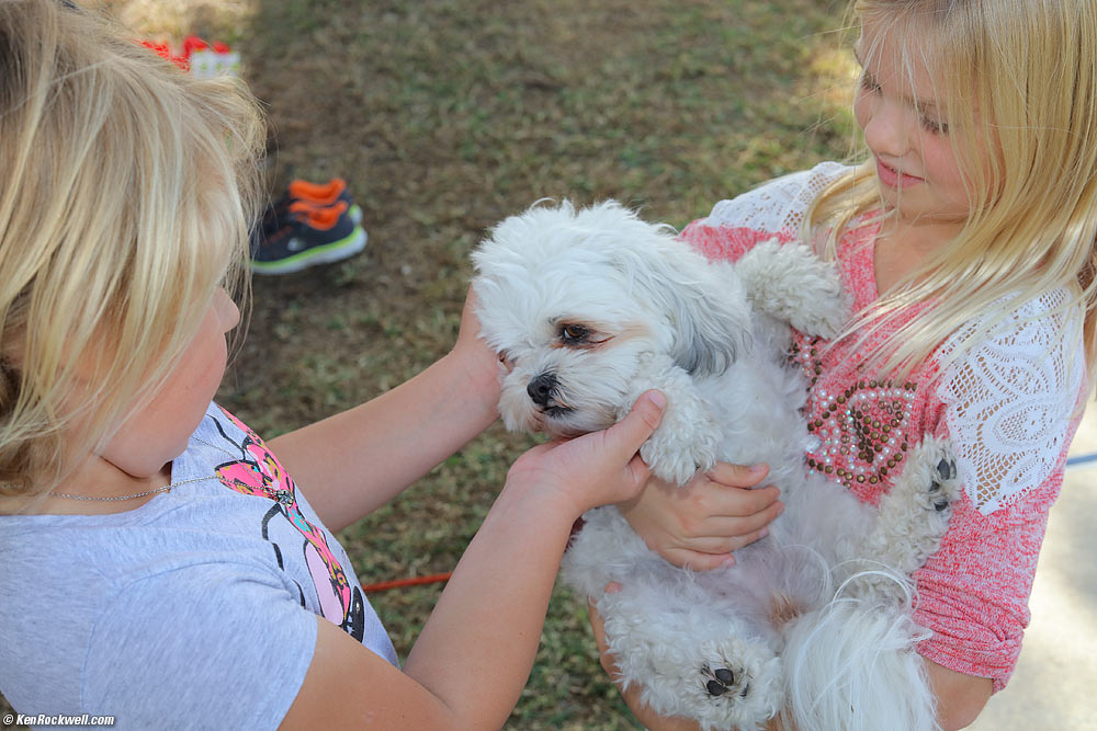 Katie hands Sasha to Caroline