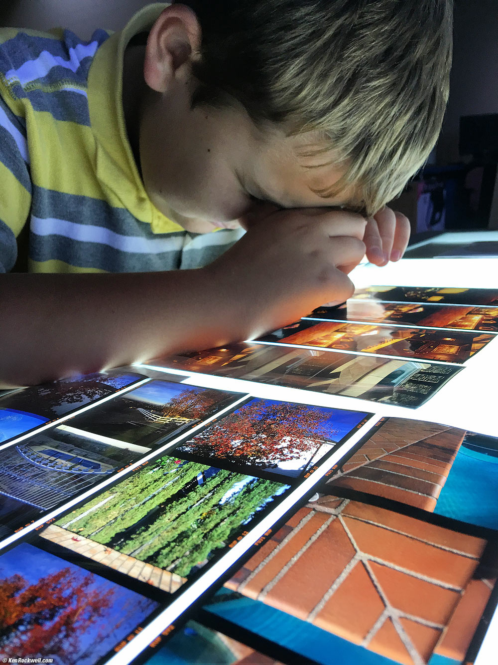 Ryan at the light table