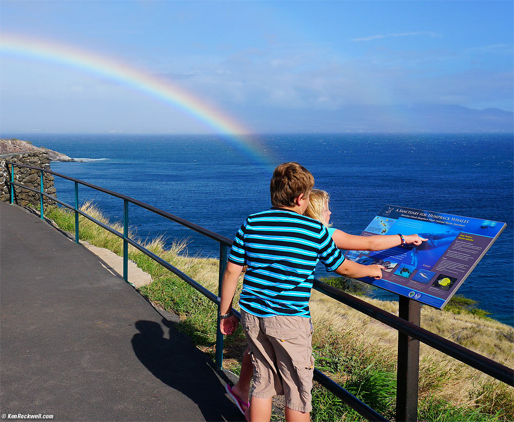 The rainbow ends at my children