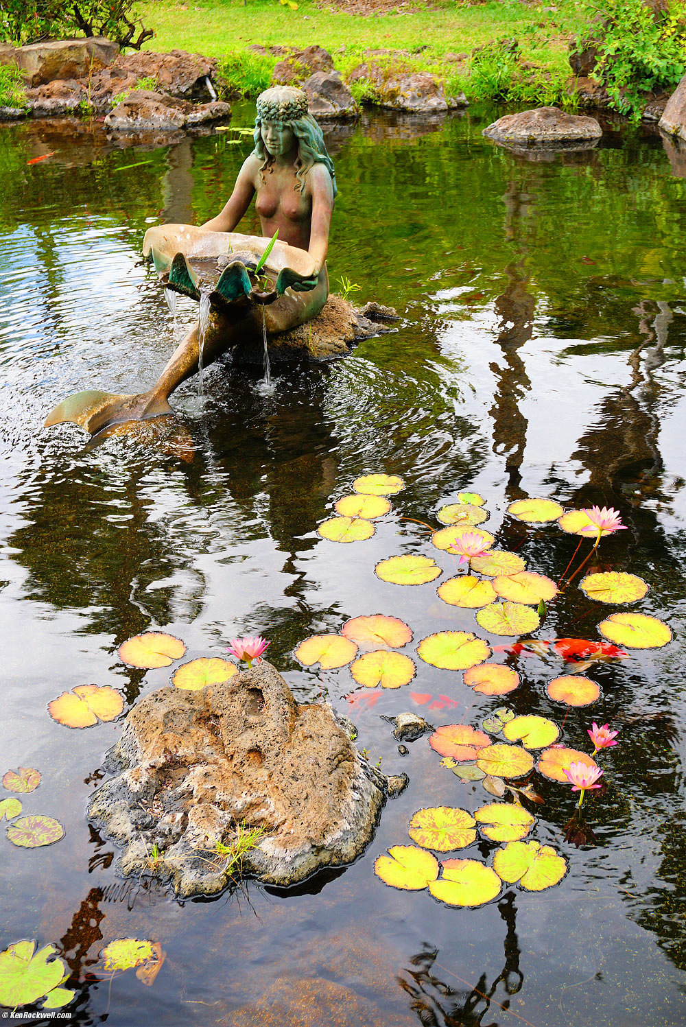 Flowers at the Grand Wailea, Maui