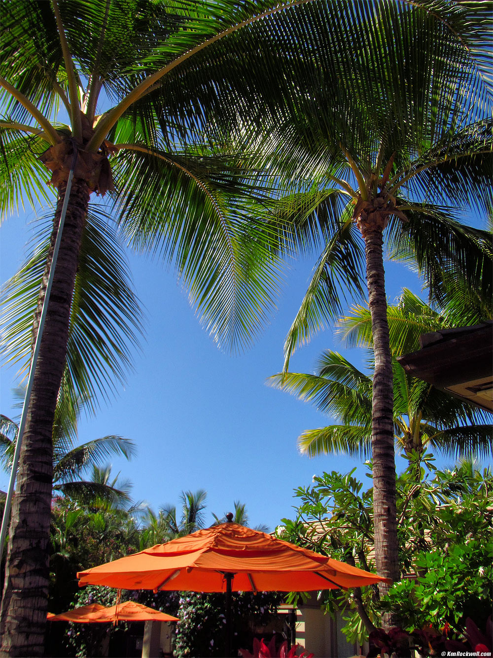 The view at the pool, Ho-olei, Maui