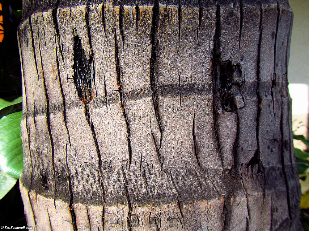 The view at the pool, Ho-olei, Maui