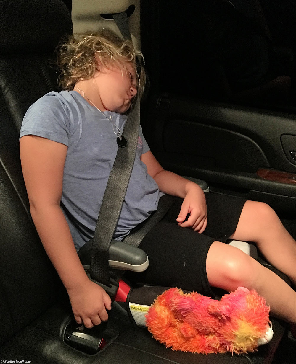 Katie and Gumdrop asleep in the limo as we arrived home