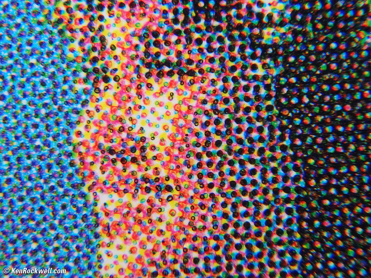 Bottle, 17 June 2016