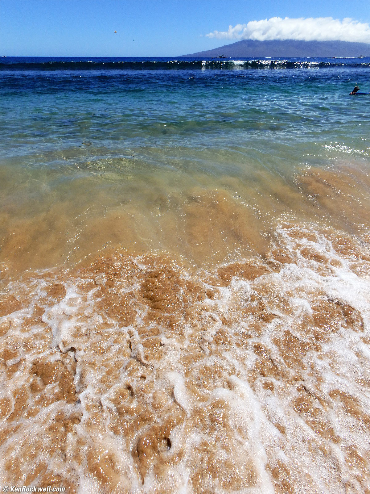 Under a Tropical Swinging Bridge, Waikoloa, 13 June 2016