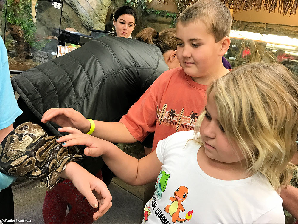 Ryan and Katie pet a snake