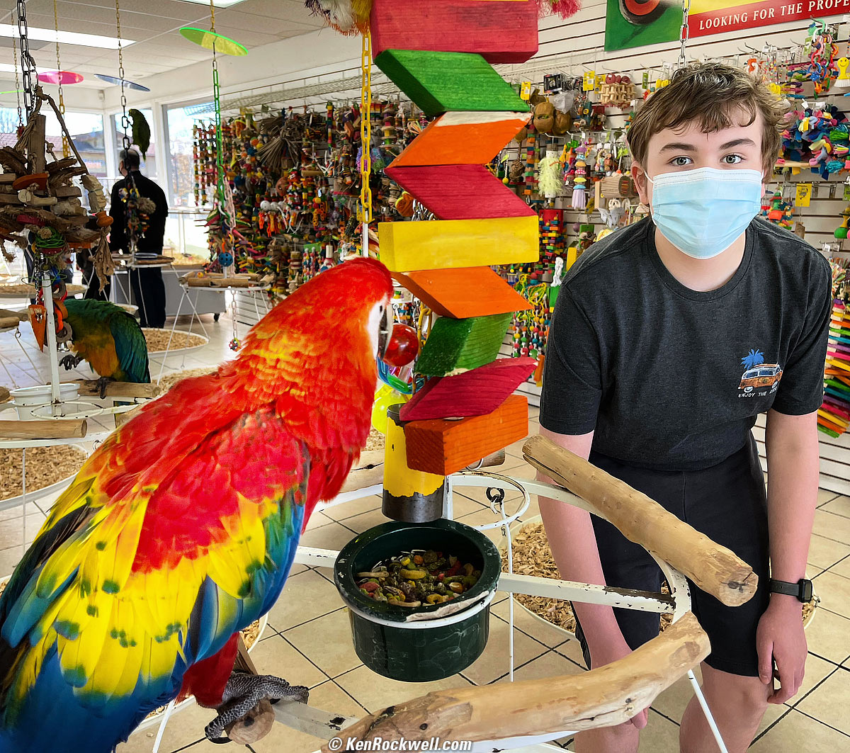 Ryan and Luna the Macaw