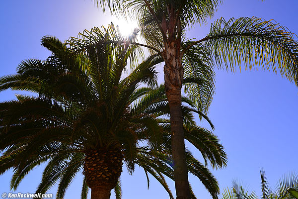 Sigma 35mm f/1.4 ghosts