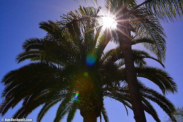 Sigma 35mm f/1.4 sunstar at f/16