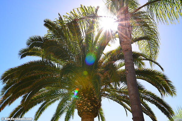 Sigma 35mm f/1.4 ghosts