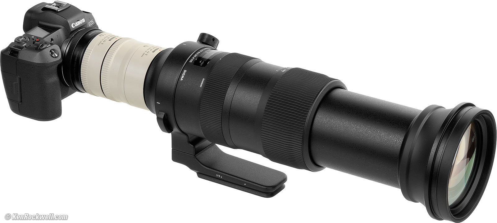 Canon EOS R, 1.4x and 2x Extenders and Sigma 60-600mm 