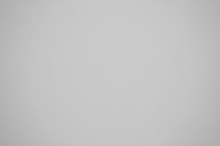 Sigma 60-600mm falloff