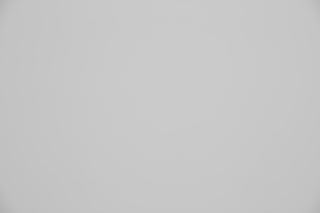 Sigma 60-600mm falloff