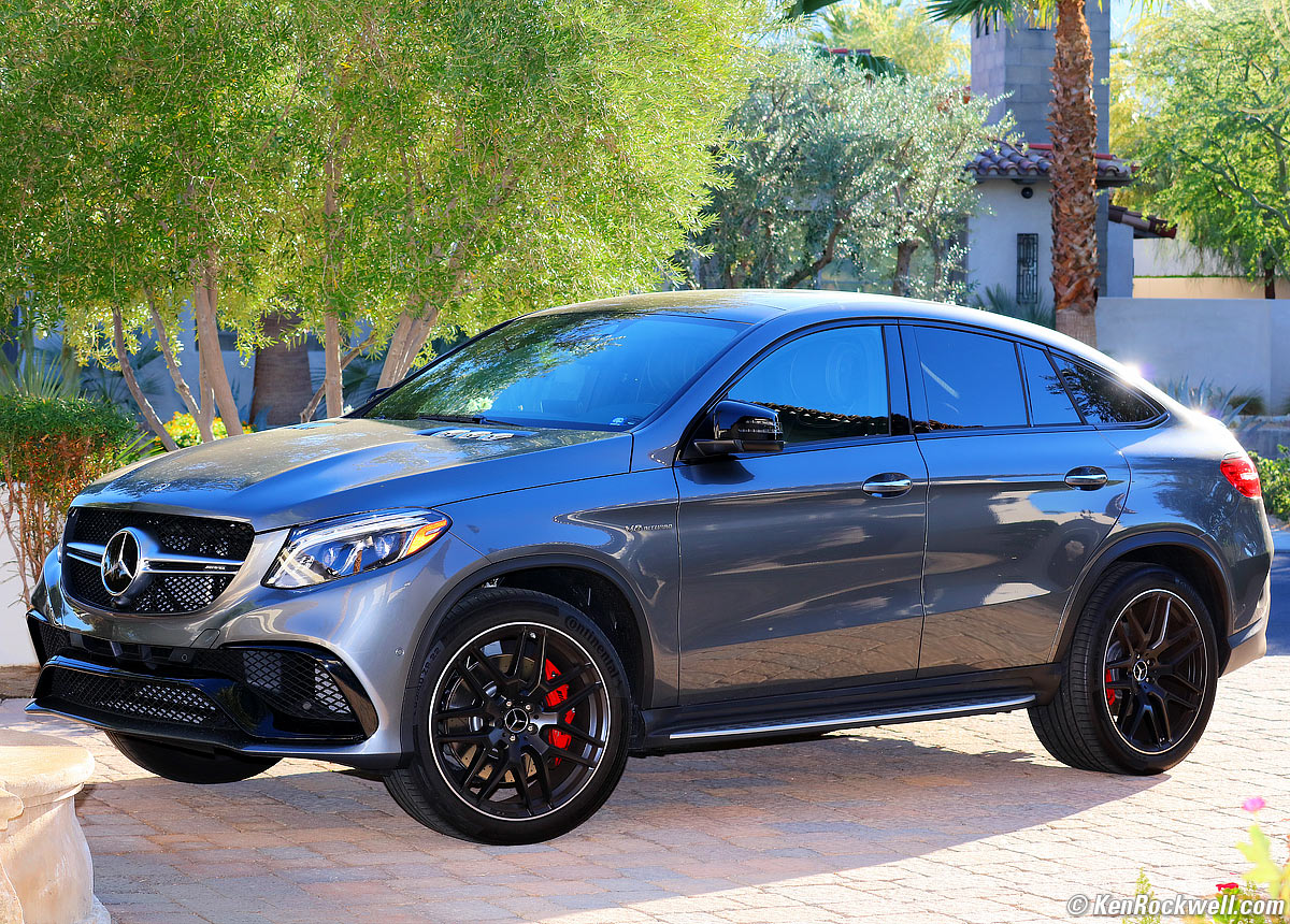 Sigma 60-600mm Sample Image of a Palm Tree