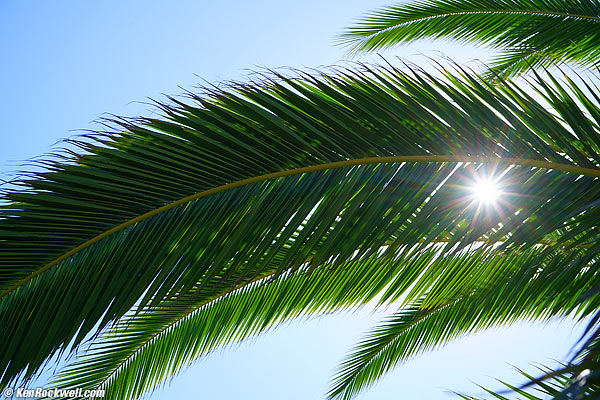 Sony 28-70 OSS sunstars