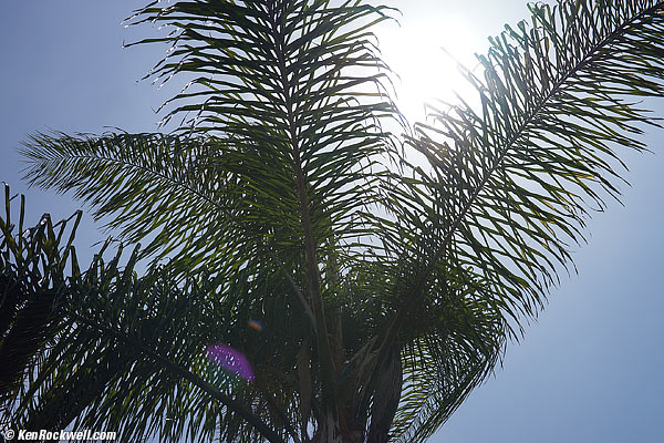 Sony 50mm f/1.4 ghosts