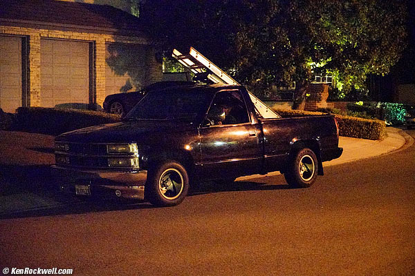 Tree in Park, 11 Sep 2015