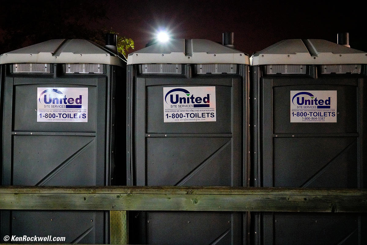 Tree in Park, 11 Sep 2015