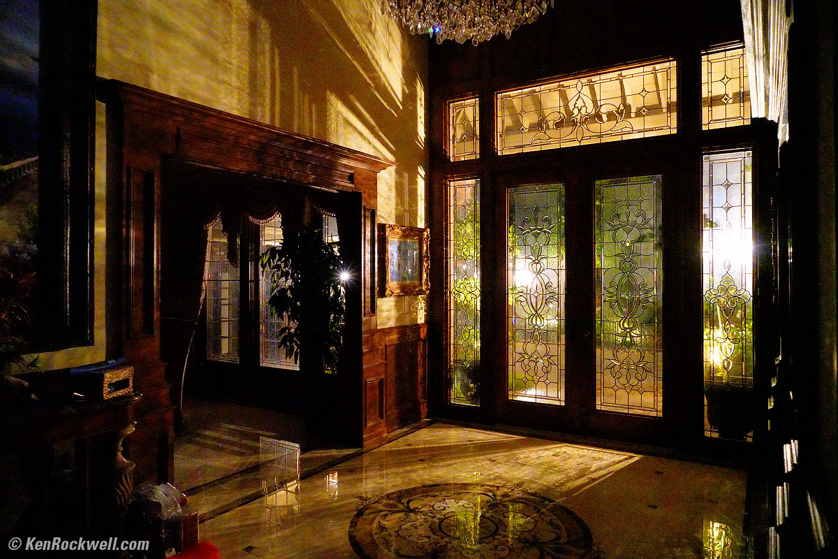 Tree in Park, 11 Sep 2015