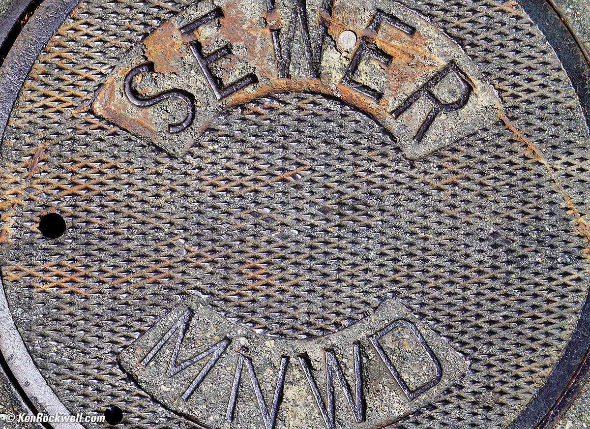 Palm, RP 04 September 2015