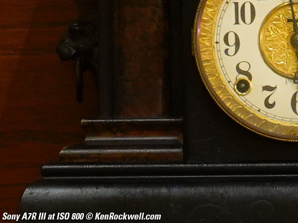 Sony A7R III High ISO Sample Image