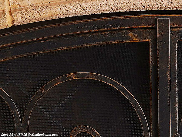 Sony A9 High ISO Performance