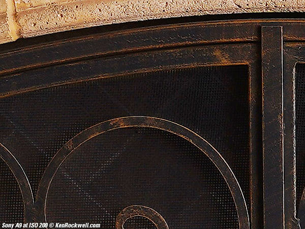 Sony A9 High ISO Performance