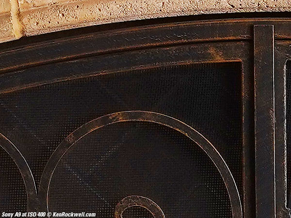 Sony A9 High ISO Performance