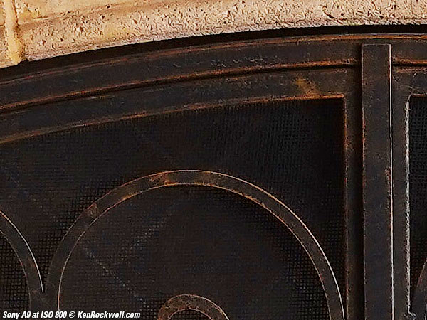 Sony A9 High ISO Performance