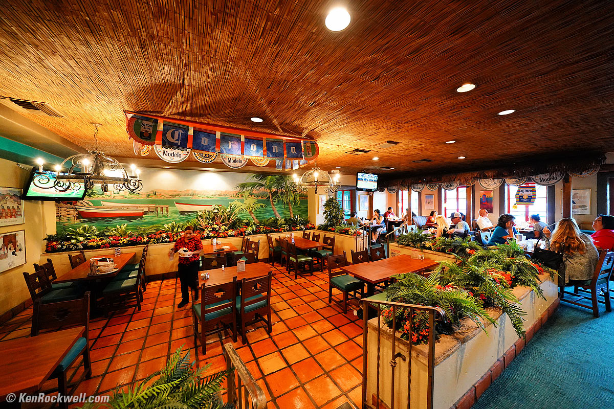 Sony A9 High ISO Performance