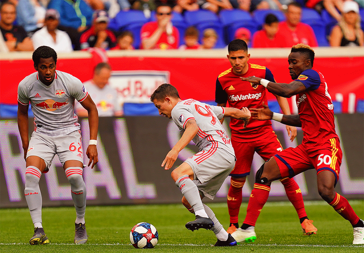 Sony 600mm f/4 Sample Image File