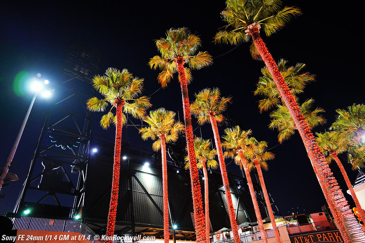 Lit trees at night, AT&T Park, San Francisco