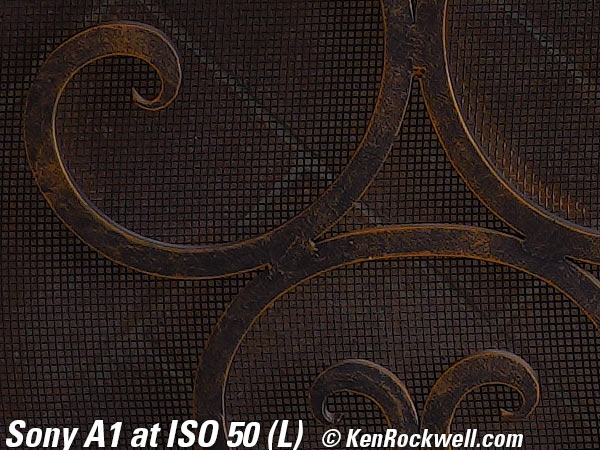 Sony A1 High ISO Sample Image File