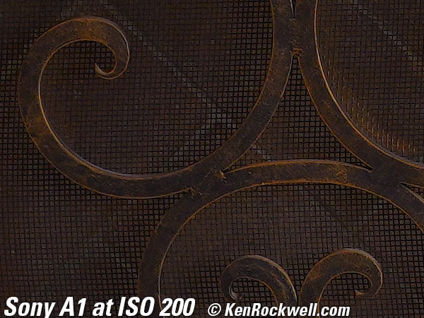 Sony A1 High ISO Sample Image File