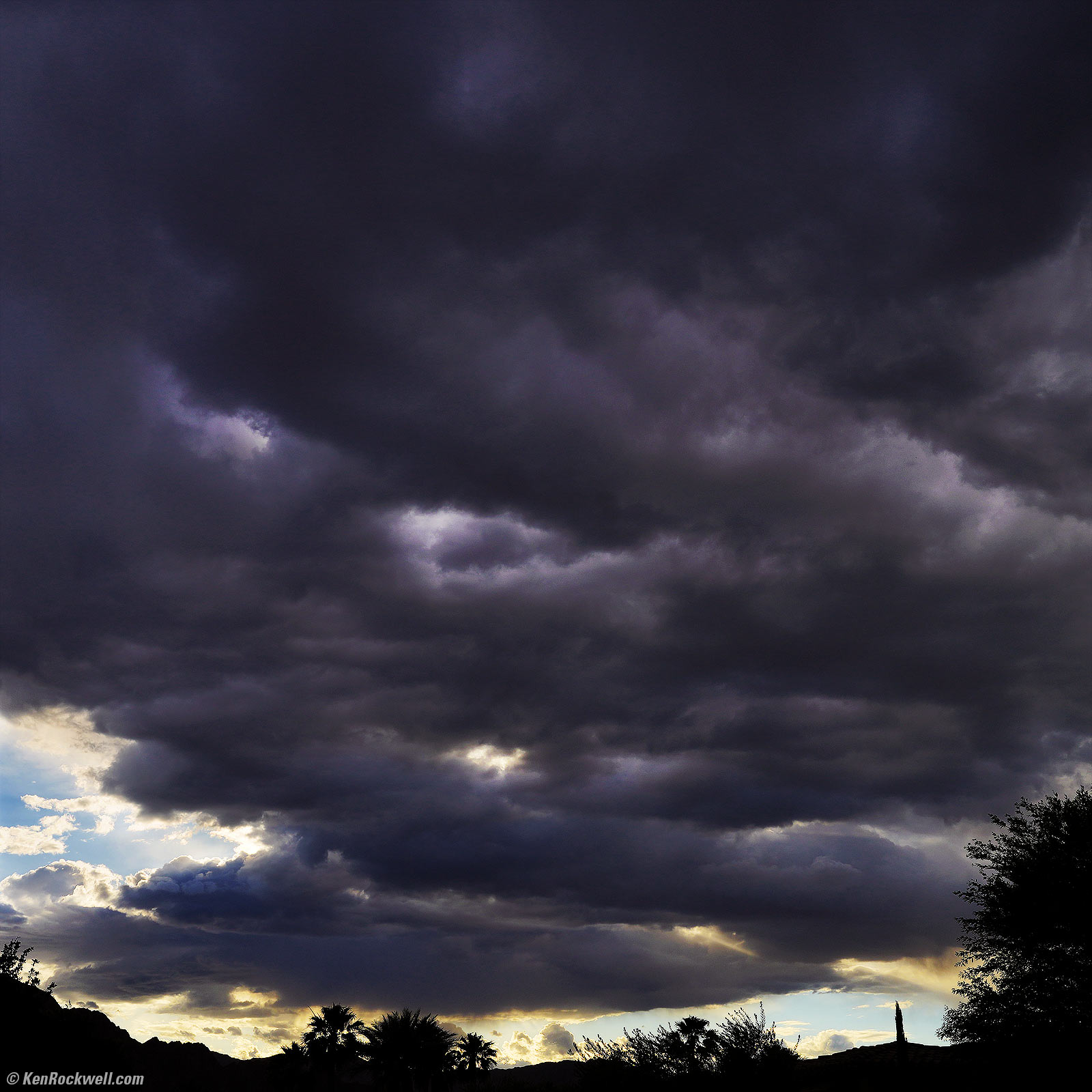 Sony A1 Sample Image File