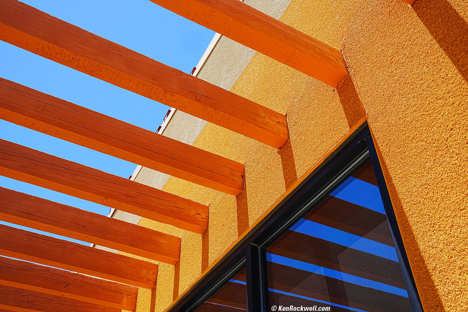 Sony A1 Sample Image File