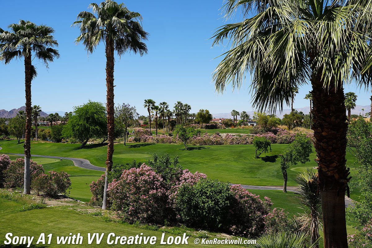 Sony A1 Creative Look Sample Image