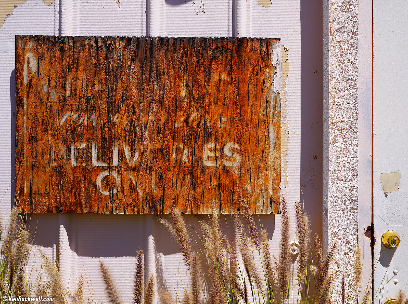 Sony A1 Sample Image File