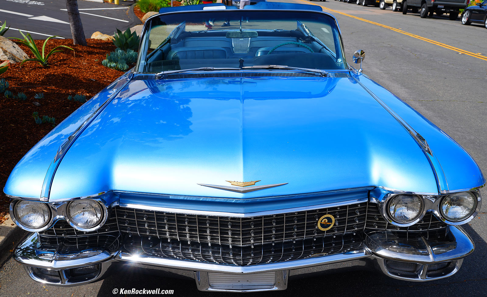 Sony A1 Sample Image File