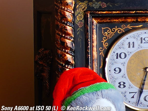 Sony A6600 High ISO Sample Image