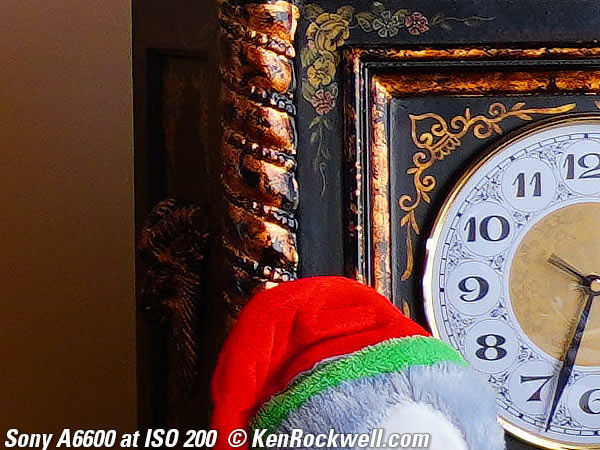 Sony A6600 High ISO Sample Image