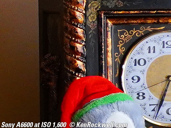 Sony A6600 High ISO Sample Image