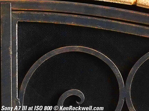 Sony A7 III High ISO sample image