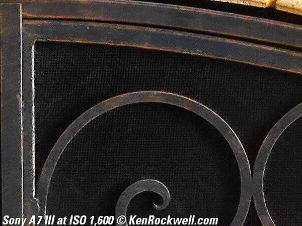 Sony A7 III High ISO sample image