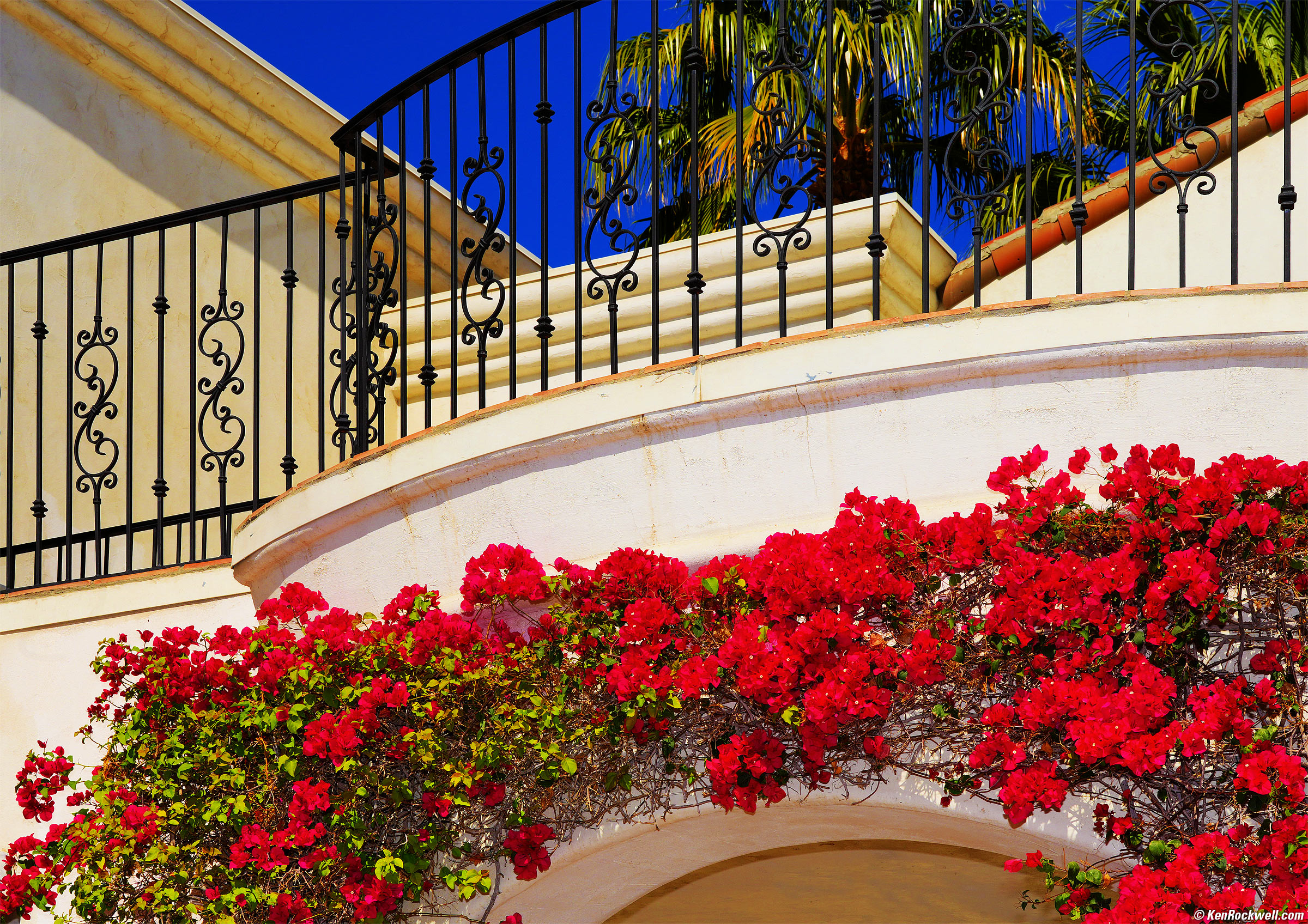 Sony A7 IV Sample Image Files