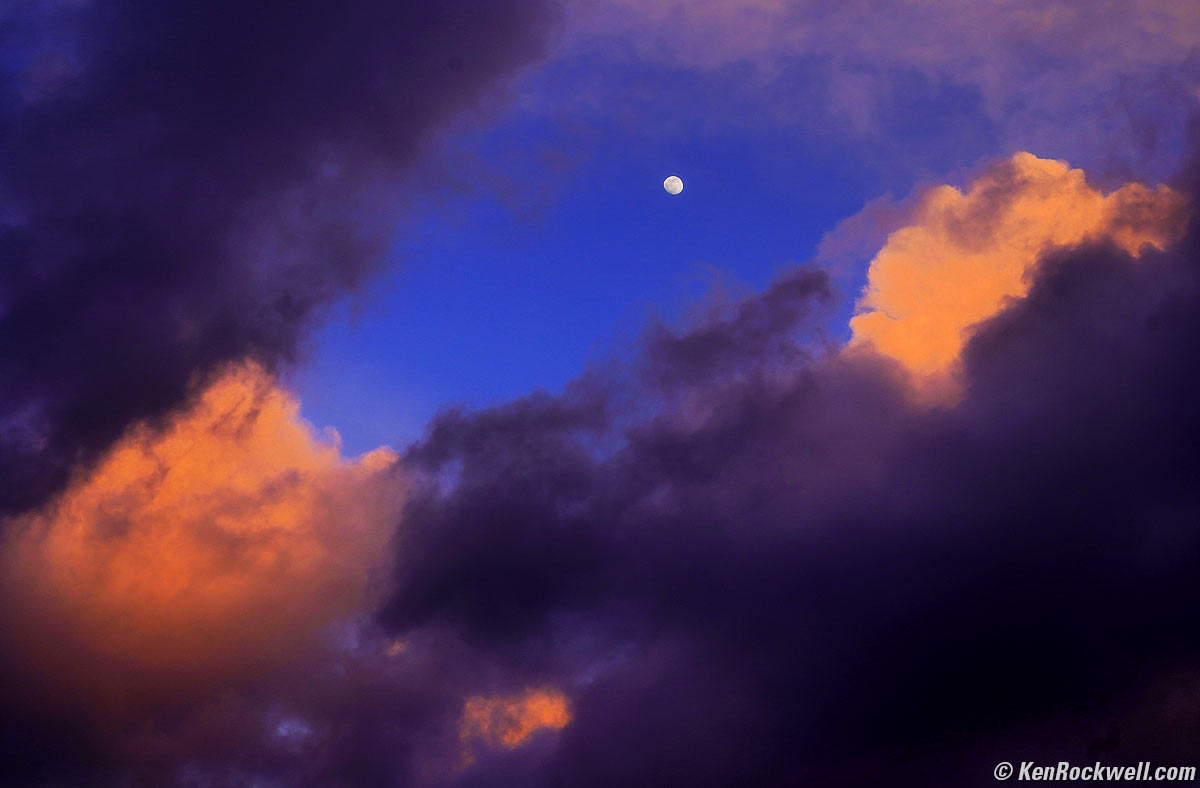 Sony FE 28-60mm Sample Image