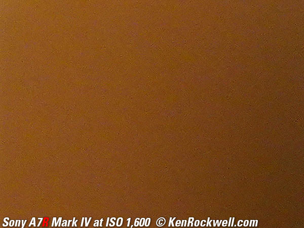 Sony A7R IV High ISO Sample Image File